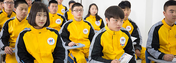汽车商务顾问